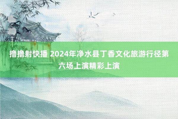 撸撸射快播 2024年净水县丁香文化旅游行径第六场上演精彩上演